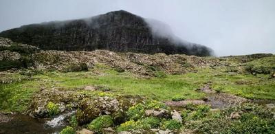 毕业季丨亲子游 轿子山邀你共赴一场高海拔生态游