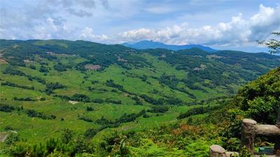 夏日“凉”方：大暑，到红河避暑！