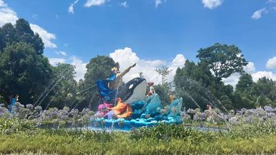 “仙湖有戏” 带你遇见慢时光！