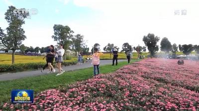 走进县城看发展丨云南弥勒：打造文旅融合发展新型城镇