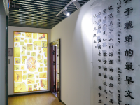 图集 | 龙隐虎魄虫珀科学博物馆