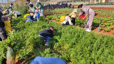 安排！暑期弥勒遛娃好去处赶快收藏