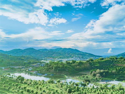 聚焦旅交会 相约游普洱丨一片绿叶的旅行 绘就茶旅融合新图景