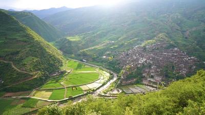 楚雄州永仁县外普拉村：农旅融合 水“稻”渠成