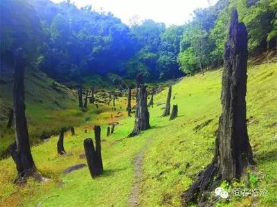 游临沧正当时 | 全国高温来袭！来凉爽的临沧避暑吧