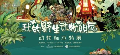 “我的野生动物朋友——动物标本特展”将在云南省博物馆开展