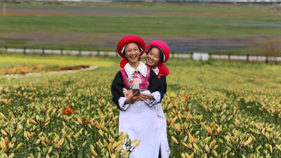 香格里拉：眼睛里的“春天”，舌尖上的“夏天”，就在纳帕海边