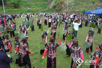 早安云南 ｜哈尼族棕扇舞：一扇一舞一脉传