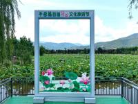 图集 | 禄劝平安福首届荷花文化旅游节开幕