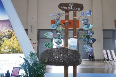 在2022旅交会 看见腾冲玛御谷的另一面