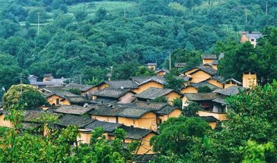  逃离城市，住进“氧吧”中的森林小屋！