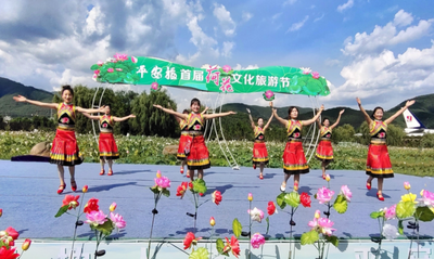 昆明禄劝：“荷”你有约 百亩荷花娇艳绽放扮靓平安福