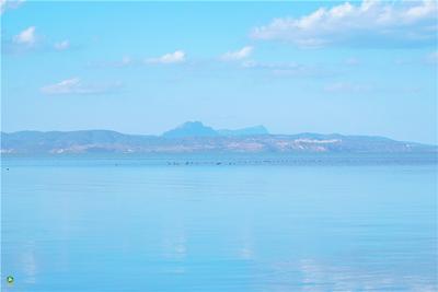 迎盛会 话文旅｜这个盛会将成助力市场回暖的“强心剂”