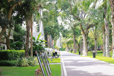 旅交会看世界游云南｜勐赫小镇：打造旅游+康养，建设成为国际级生态田园康养旅游度假目的地  