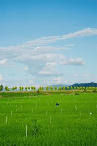 媲美宫崎骏动画里的唯美夏日，就在红河这些地方！
