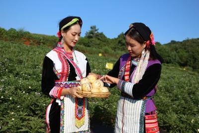 弥勒乡村游 | 来西一镇，开启向往的生活！