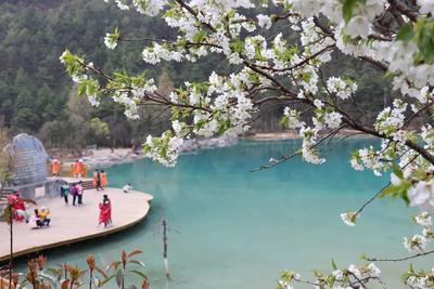 绿美云南人潮涌 世界花园文旅兴！写在2022中国国际旅游交易会开幕之际