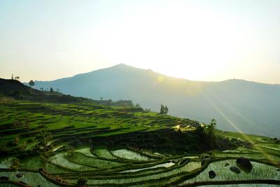 夏日“凉”方：热热热！有一种避暑叫躲进山里住