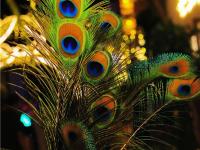 图集 | 走进傣族古镇，感受芒市“人间烟火”