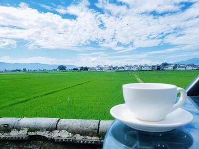 【游大理 正当时】 8天接待游客100多万人次！大理旅游业复苏迈出加速度