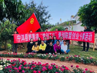 云南宁洱：罗文堃和他的美丽乡村“玫瑰梦”