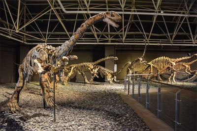 限时免费！抚仙湖、恐龙谷旅游直通车7月2日邀您体验