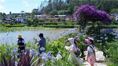早安云南 | 清凉一夏何处去 返璞归真“楚源乡”