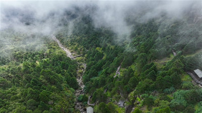 轿子山旅游全新产品集中亮相｜研学避暑露营 探秘昆北秘境！