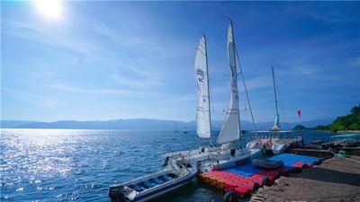 限时免费！抚仙湖、恐龙谷旅游直通车7月2日邀您体验