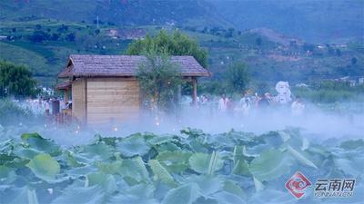 早安云南｜云中漫步“趣荷田” 瑶池仙境落人间