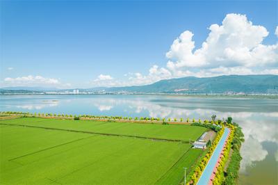 媲美宫崎骏动画里的唯美夏日，就在红河这些地方！