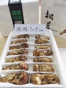 香格里拉建塘镇2022年吉迪松茸节开幕