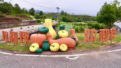 楚雄永仁：宜就镇提升人居环境和景观建设，助力农旅融合发展