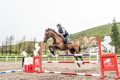 【潮玩大理新地标】纵马原野 遇见浪“慢”