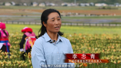 香格里拉：眼睛里的“春天”，舌尖上的“夏天”，就在纳帕海边