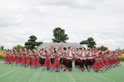 《马缨花》将亮相第十九届“群星奖”决赛舞台