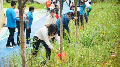 巩固提升景观质量 满足游客需求 “绿美云南·绿美景区行动”在昆明世博园举办