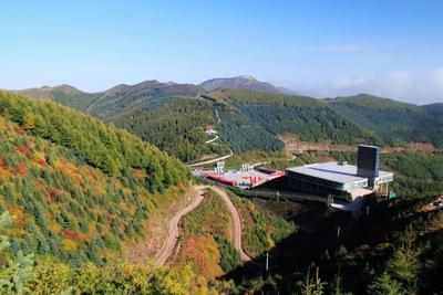 到乡村过暑假，解锁别样的旅行方式