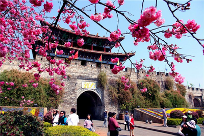 今夏顶流旅游目的地！为什么半个中国的游客都在云南？