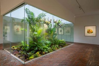 展讯 | “‘原本自然’生物博物画邀请展” 8月16日在昆明曾孝濂美术馆开展