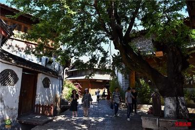 今夏顶流旅游目的地！为什么半个中国的游客都在云南？