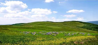 国家文物局、国家林业和草原局联合公布第一批“红色草原”名单