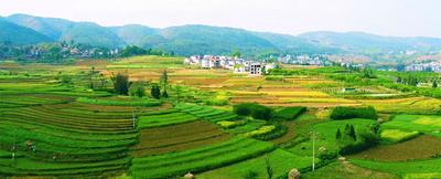 弥勒乡村游｜来西三镇，拥抱自然山水，寻乡间野趣