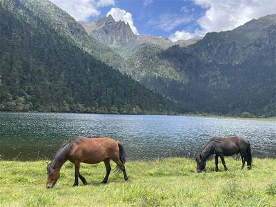 初秋遇见香格里拉又一处人间仙境——无底湖
