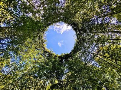 乐游玉溪 优惠不停丨邂逅峨山彝人谷竹海，细品秋日惬意时光！