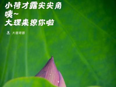 【游大理 正当时】39张海报，一键收藏最清新的夏日限定记忆！