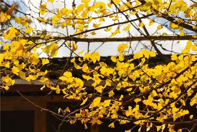 今日立秋丨清秋可待，云南秋日美景进入加载模式……