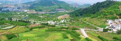 弥勒乡村游｜来西三镇，拥抱自然山水，寻乡间野趣