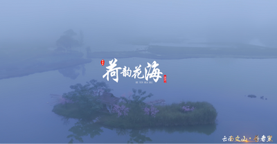 精品剧目进景区丨荷韵花海