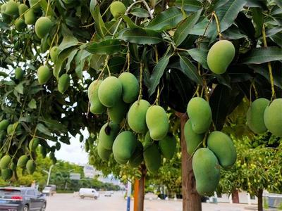 【喜讯】南涧县、宾川县喜获“云南省美丽县城”称号！